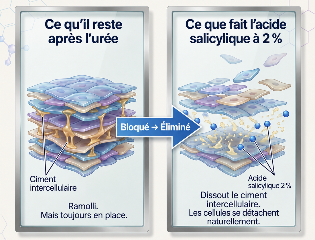 L’acide salicylique complète la routine